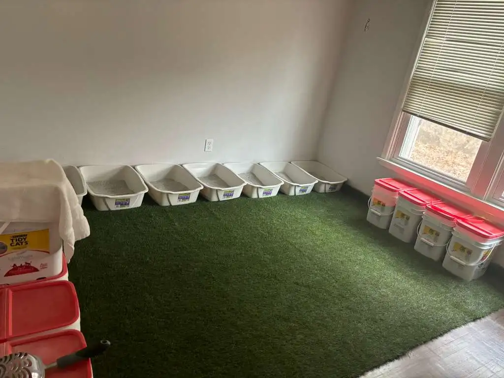 Clean laundry room