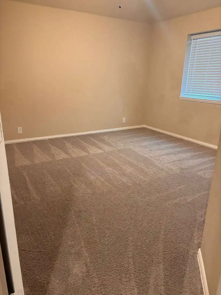 Freshly vacuumed floor